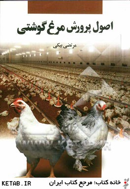 اصول پرورش مرغ گوشتي