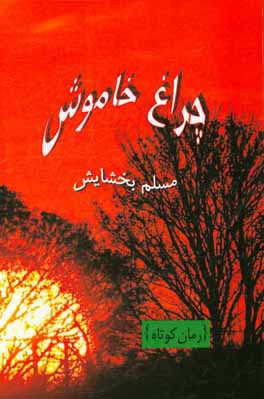 چراغ خاموش: (رمان كوتاه)