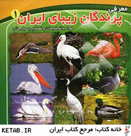 معرفي پرندگان زيباي ايران