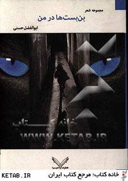 بن بست ها در من "كوچه ها": مجموعه شعر 1389 - 1387