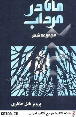 ماه در مرداب: مجموعه شعر